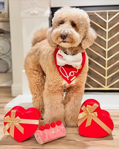 Miniatura 5 de Juguetes de enriquecimiento para perros, rompecabezas para perros, juguetes interactivos para perros, juguetes de pastel de cumpleaños para perros