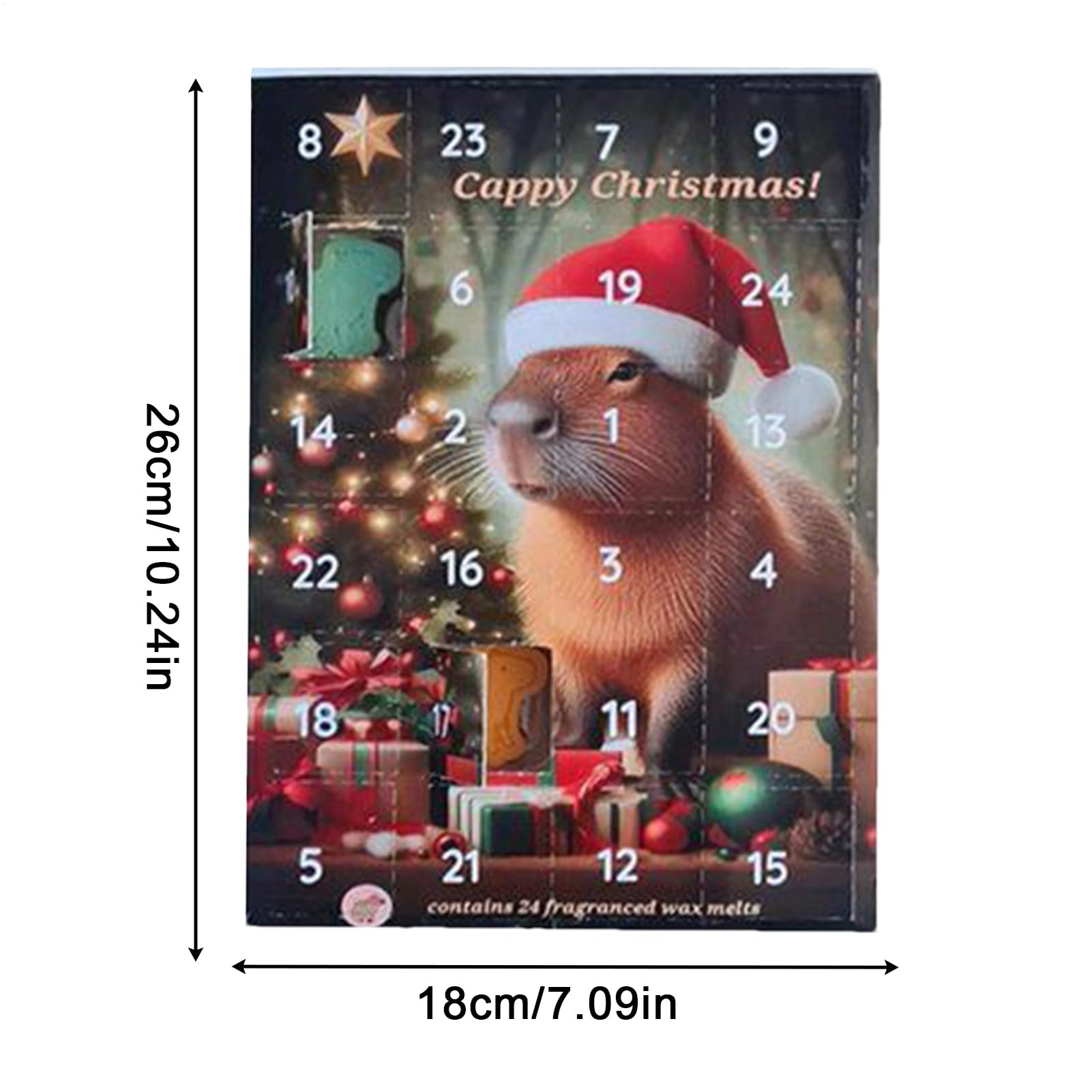 Capybara Calendrier De L'Avent 2025, 24 Jours - Figurines Capybara - Calendrier De L'Avent