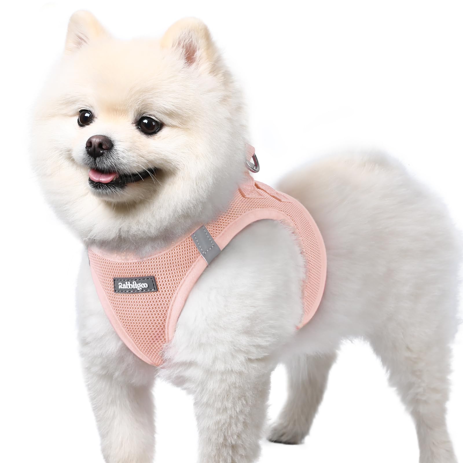 rabbitgoo Dog Harness Small Dog, Step-in Soft Mesh Puppy Harness with Reflective Strips, Lightweight Breathable Pet Vest for Walking Training, Pink, S