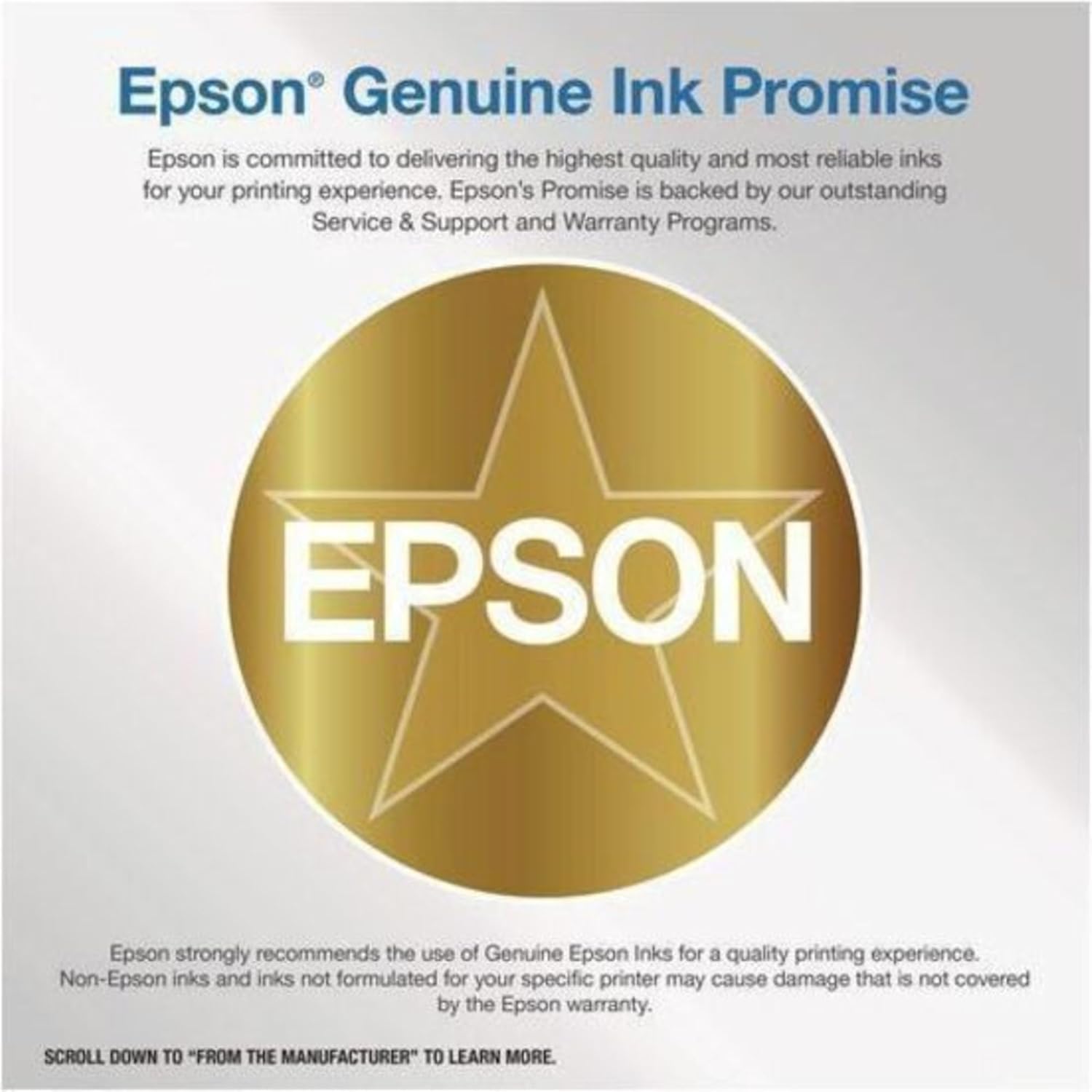 EPSON 320 Standard Capacity (T320P) Works with PictureMate PM-400