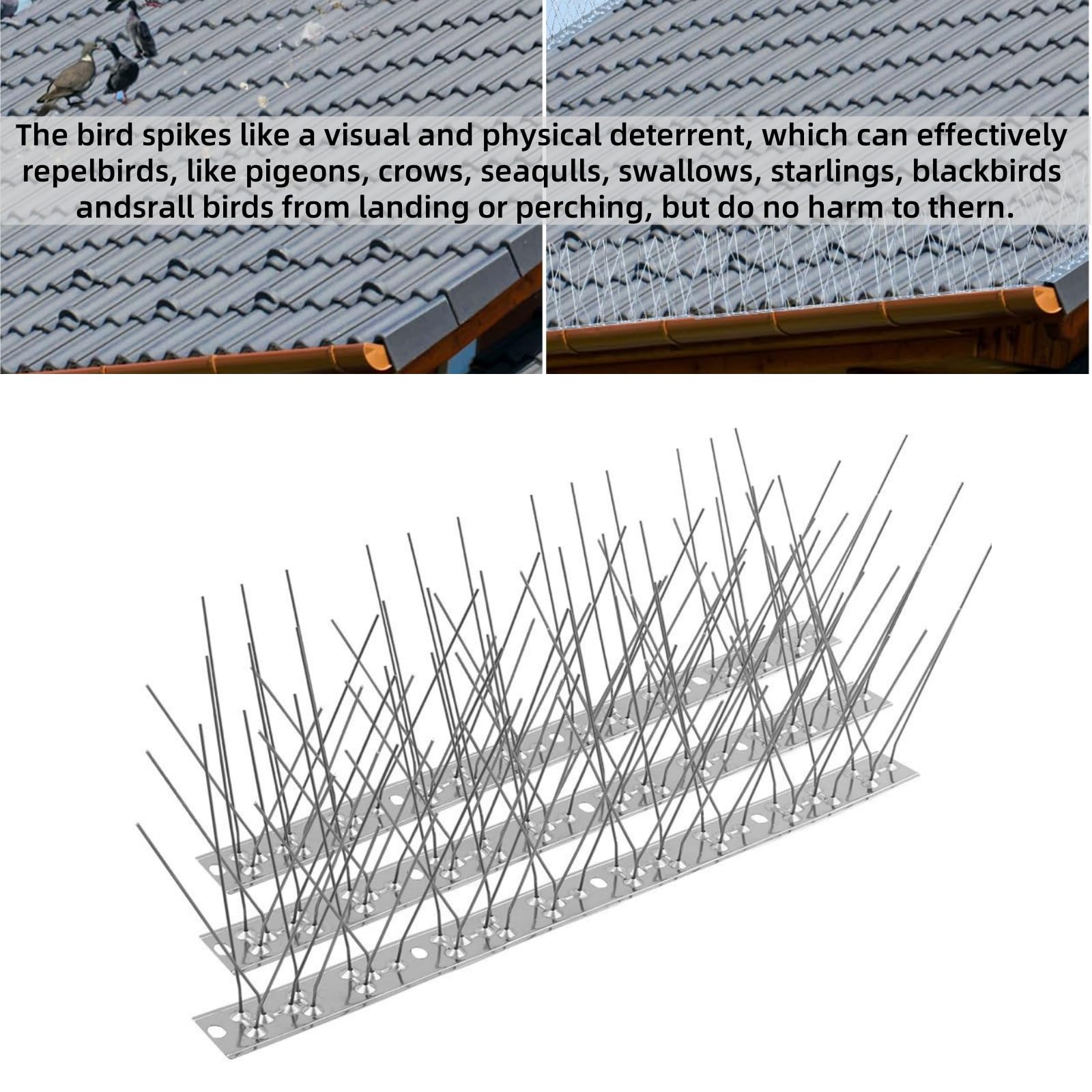 Bird Spikes with Stainless Steel Base - Image 3
