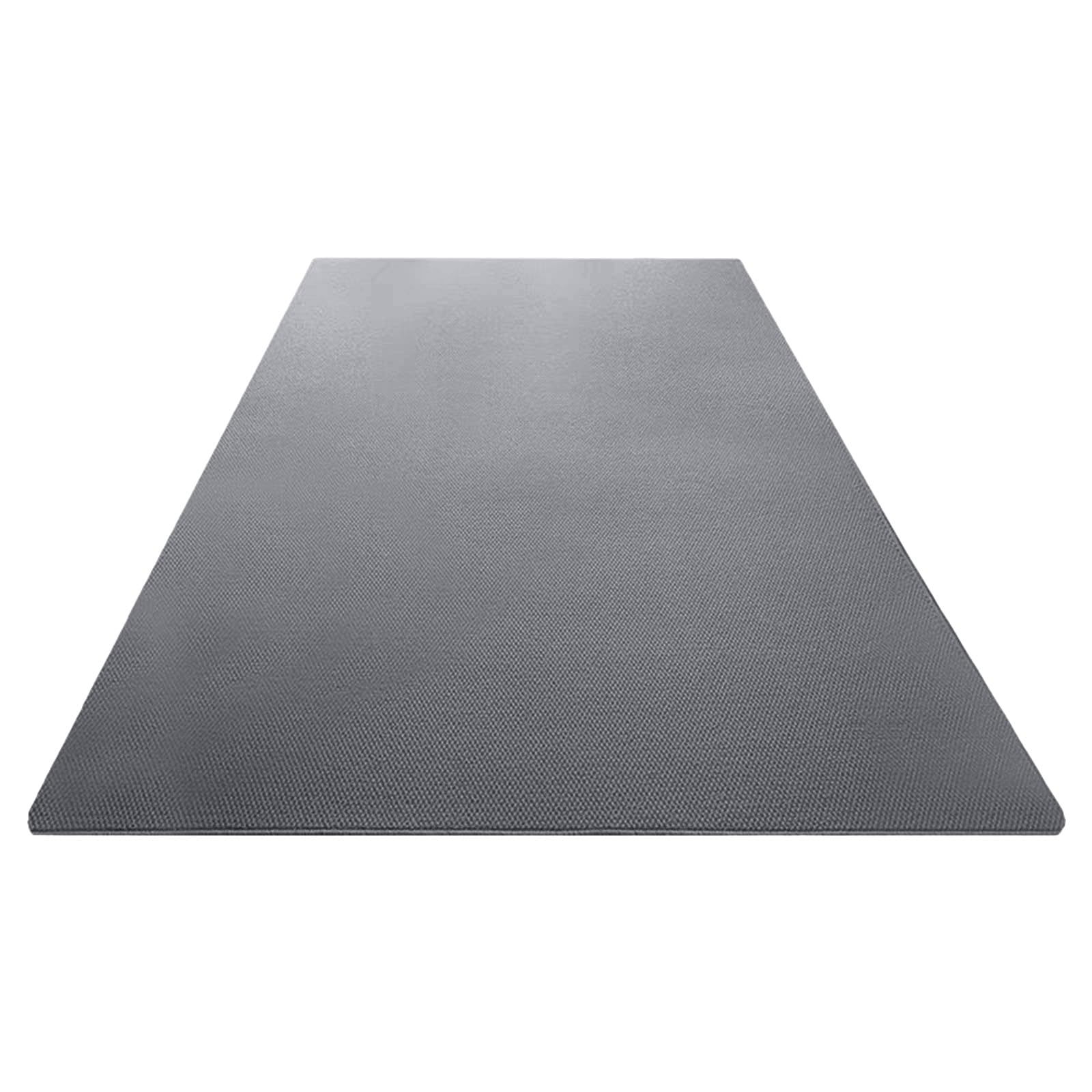 Nucelit Area Rug Pile Rug with NonSlip Backing for Home Decoration Farmhouses Carpet for Bedroom Easy to Clean and Maintain Bedroom Mat