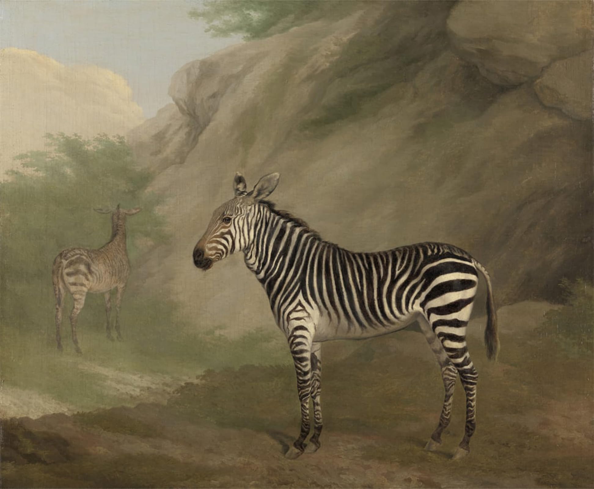 ARTXLXXBN Famous Prints Artwork Pictures Poster Painting Art Zebra by Jacques Laurent Agasse Artwork Landscape Pictures for Home Decor 60x90cm