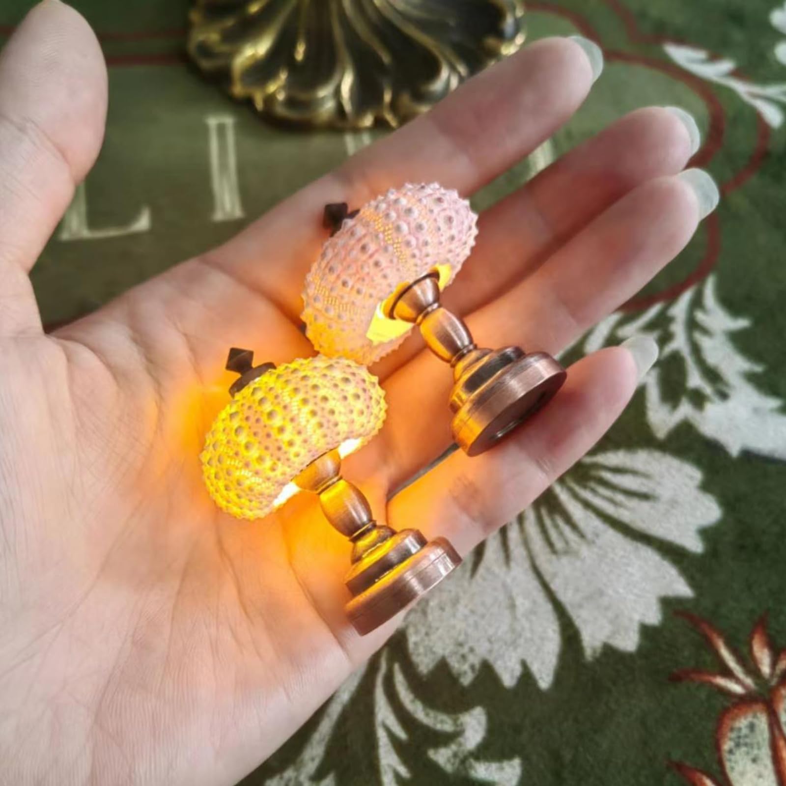 Amazon.co.jp : DIY ウニナイトライトウニシェルナイトランプウニ