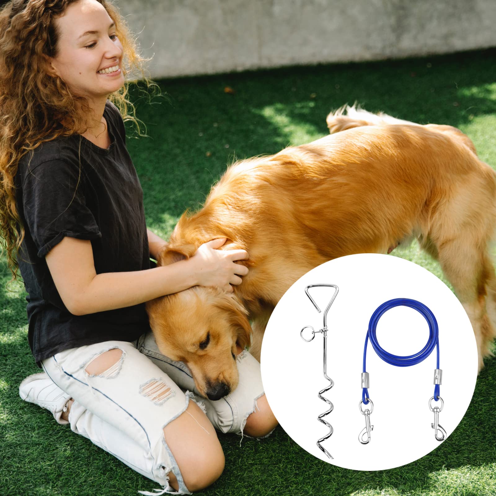 3M Câble Attache Chien,Piquet en Acier Inoxydable et Attache en Spirale Domestiques Complet pour Extérieur Jardin et Camping pour Petits et Moyens Chiens Piquets d'attache pour Chiens