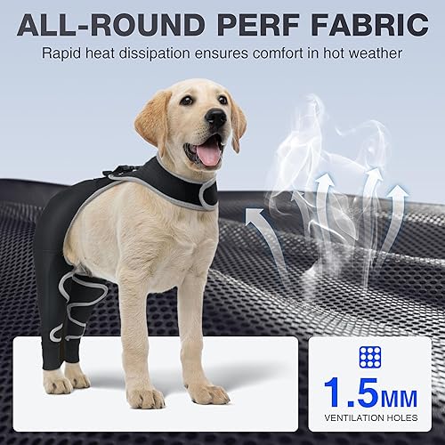 Miniatura 9 de Hombro y codo para perro - Manga antilamer para luxación de hombro, lesiones de codo, recuperación postoperatoria - Soporte reflectante