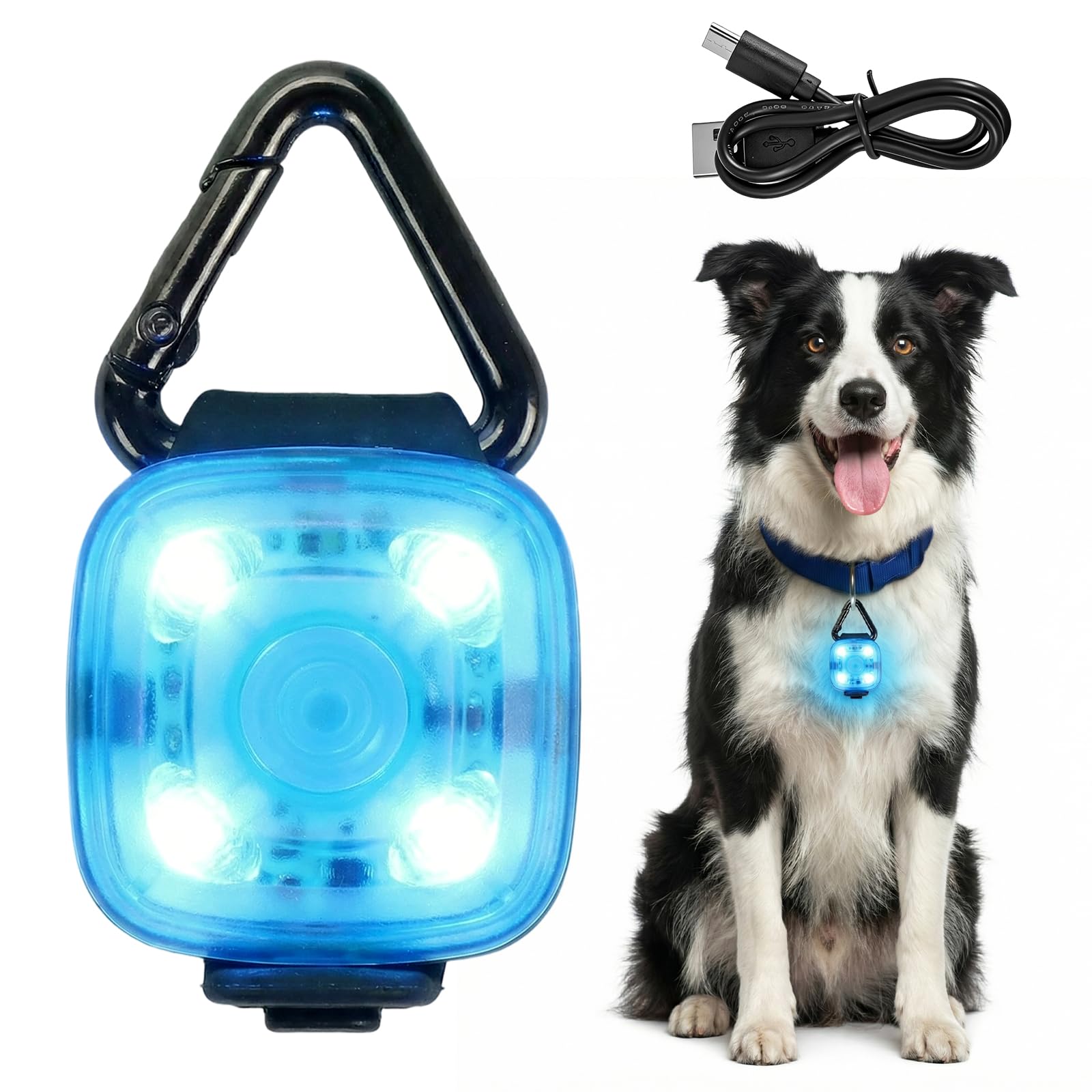 LED Dog Collar Light Rechargeable, Flashing Dog Collars for Dark, Waterproof Dog Lights for Night Walking, USB Rechargeable Light Up Dog Collar Light for All Dog Sizes (Blue)