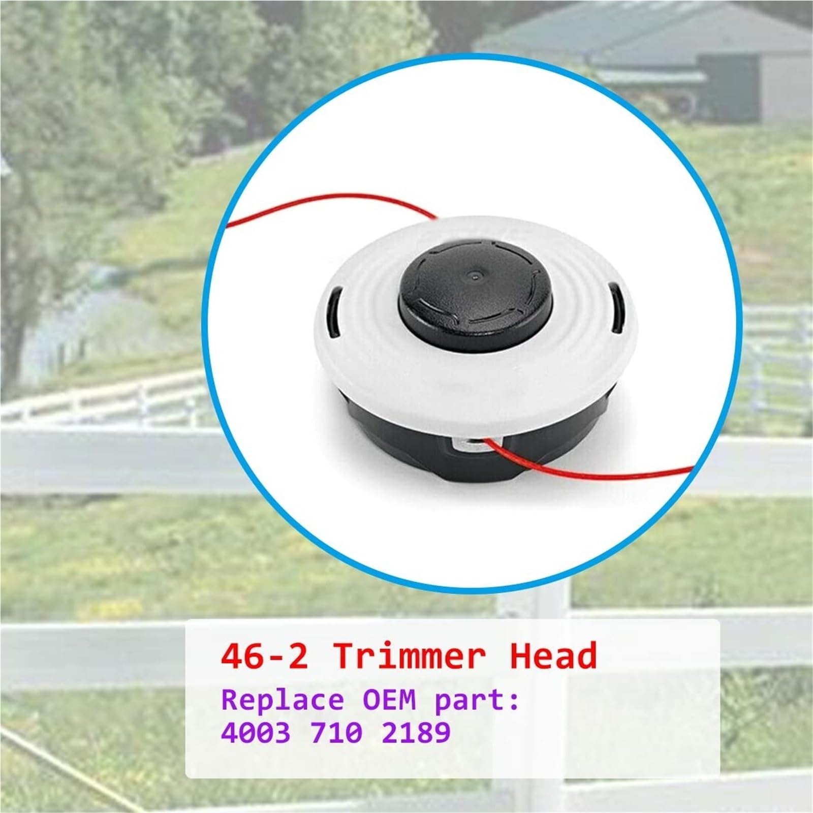 Cabezal De Corte 46-2, Compatible con Stihl, FS160 FS220 FS280 FS290 FS300 FS310, Accesorio for Cortacésped