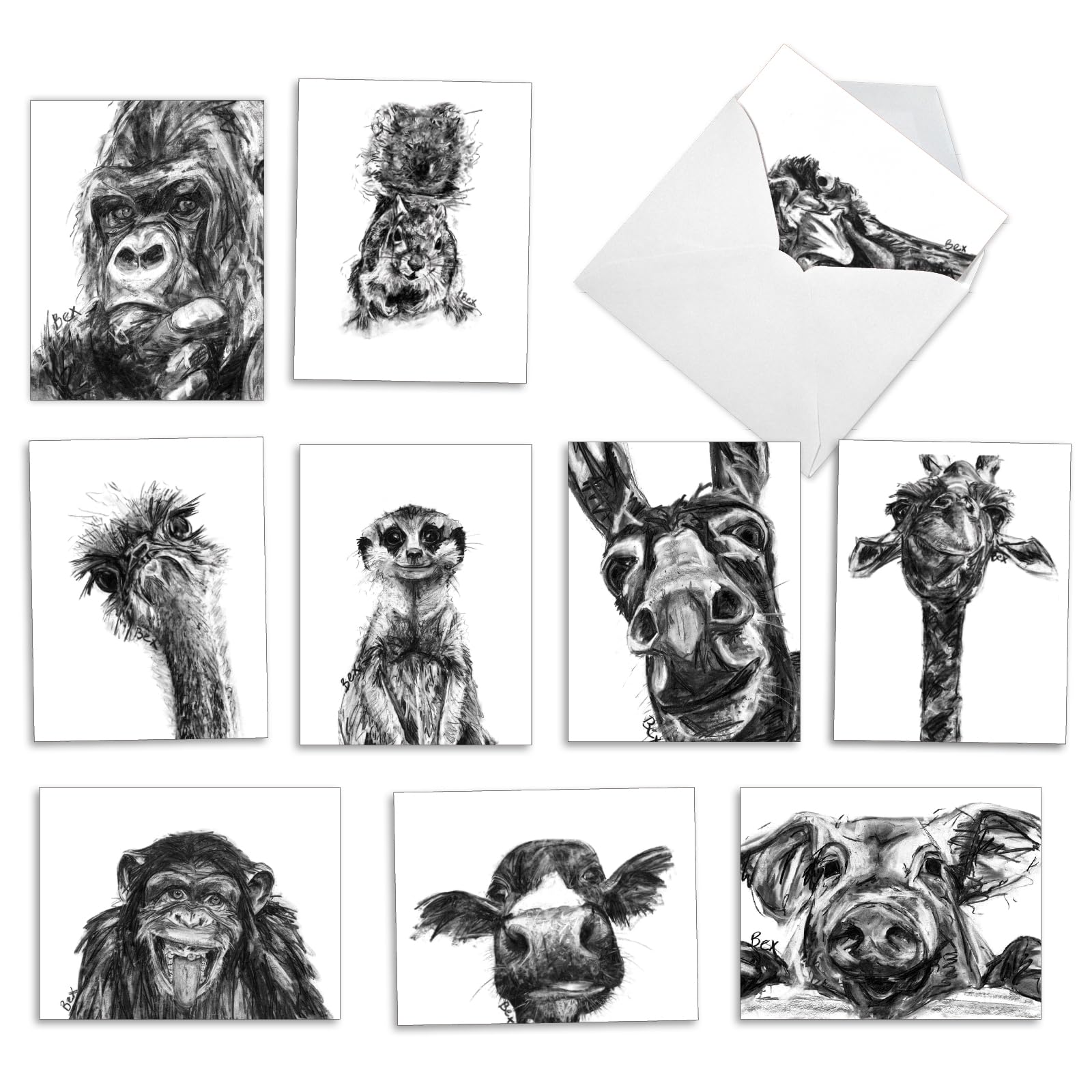 The Best Card Company - 10 Assorted Blank All Occasions Notecards Boxed Set 4 x 5.12 Inch with Envelopes (10 Designs, 1 Each) Boxed Assorted Kid Cards