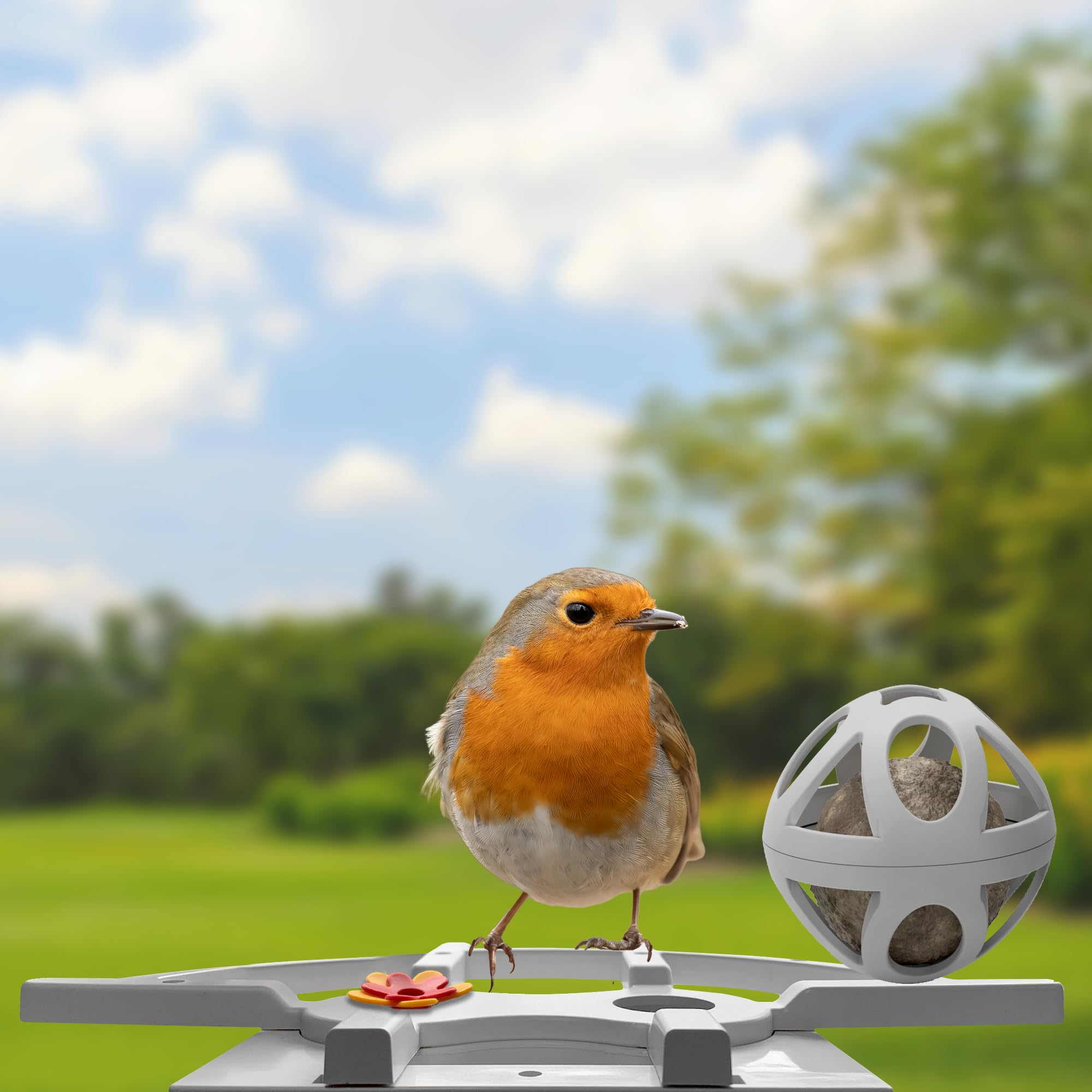 Avidsen Intelligentes Vogelhaus mit WLAN-Kamera, Full HD 1080p, Solarbetrieb, 2L Futterspender, Nachtsicht, Zwei-Wege-Audio, IP65, App-Steuerung, Grün