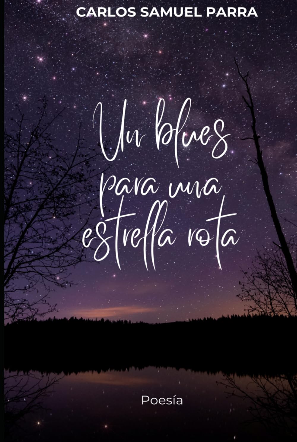 Un blues para una estrella rota