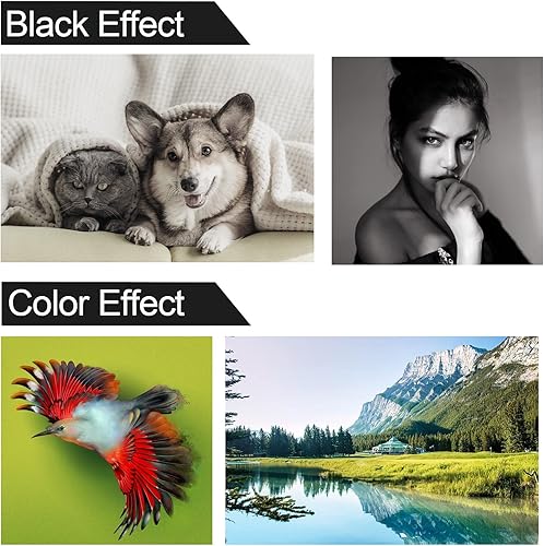 Miniatura 7 de PGI-2500 Cartucho de tinta de repuesto para Canon PGI-2500 Combo para impresoras Canon MAXIFY IB4050 IB4150 MB5050 MB5150 MB5350 MB5450 Tinta de 3