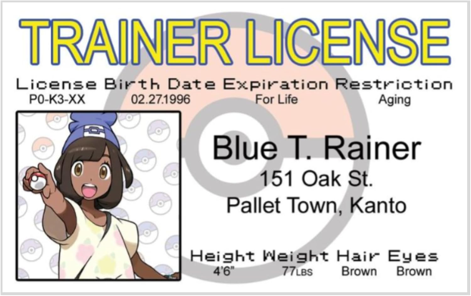 Signs 4 Fun Parody Driver's License - Poke Trainer Girl ID