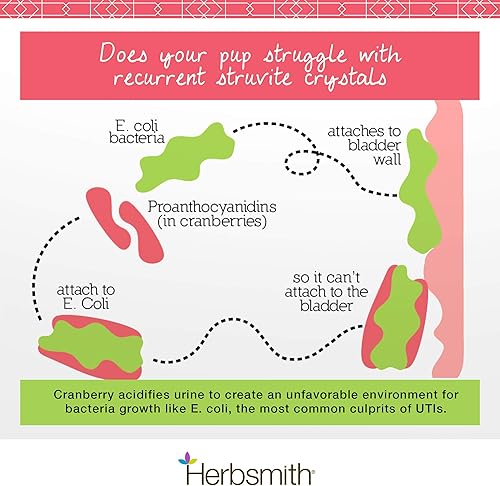 Miniatura 3 de Herbsmith Cuidado de la vejiga para gatos y perros  Mantiene la salud urinaria para perros y gatos  Apoyo renal para perros y gatos  270 tabletas