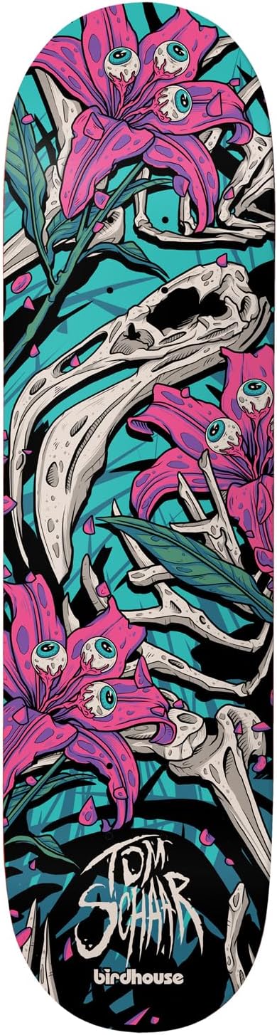 Birdhouse Skateboard Assembly Tom Schaar Tillbrook 8.38" x 32" Complete