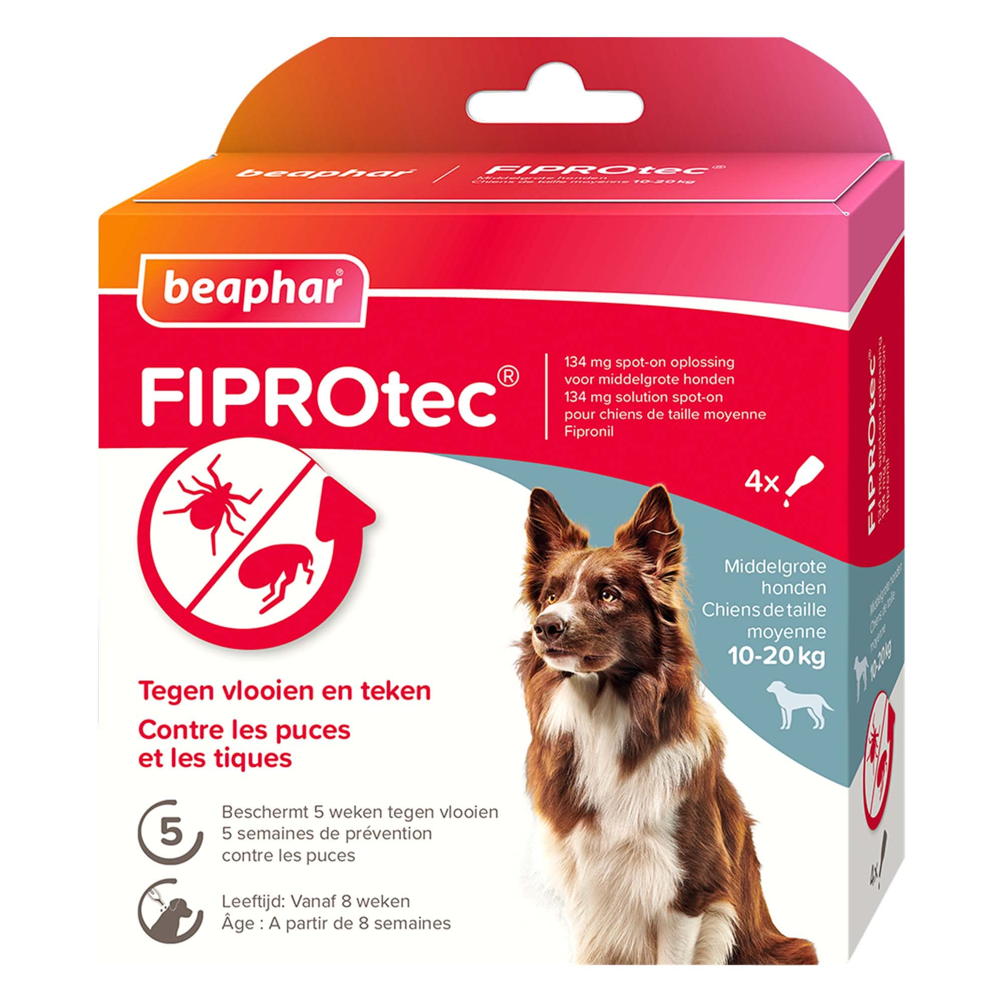 BEAPHAR – FIPROTEC Solution Spot-on pour Chiens Moyens (10-20 kg) 134 MG – À Base de Fipronil – Contre Les Puces – Protège Contre Les Infestations par Les Tiques – 4 Pipettes de 1,34 ML