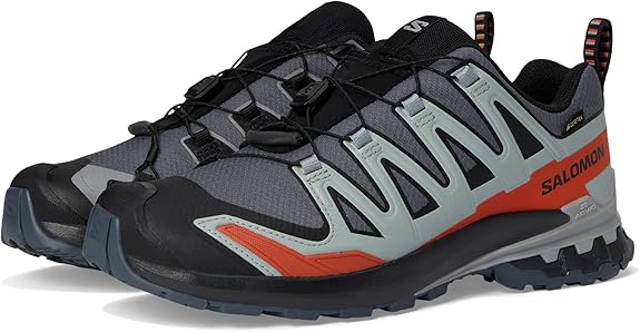 Salomon Tênis de corrida masculino Xa Pro 3D V9 GTX, Natural/preto