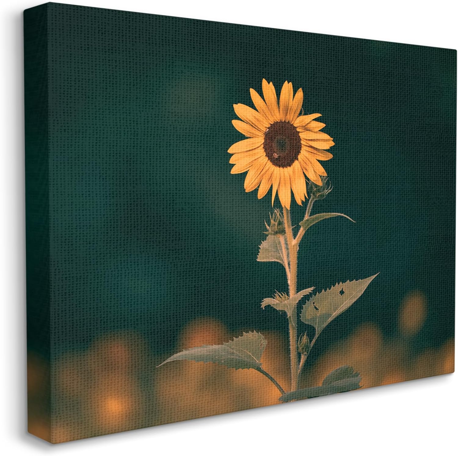 Stupell Industries Dark Sunflower Nature Canvas Wall Art by Daniel Sproul