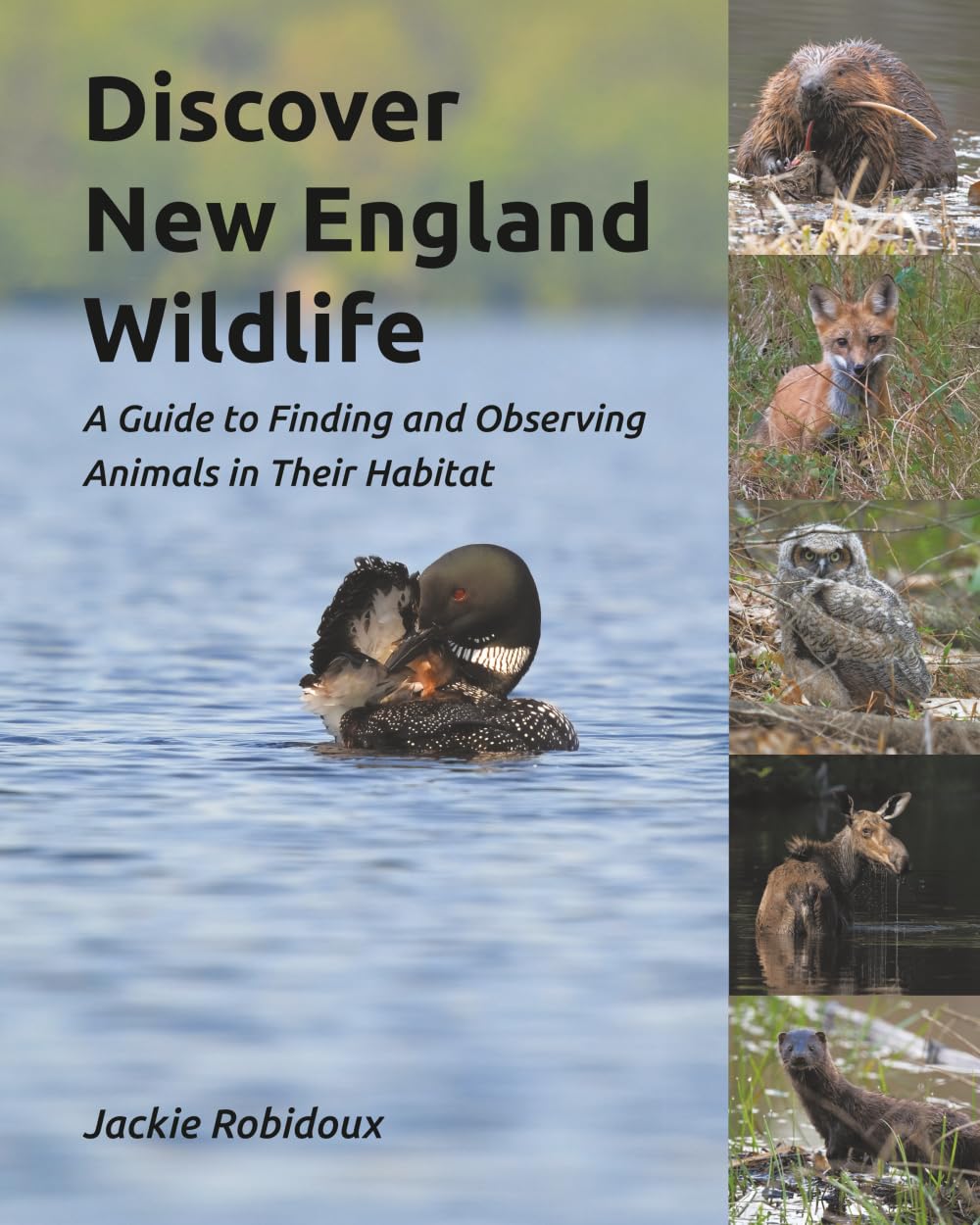 Discover New England Wildlife: A Guide to Finding and Observing Animals in Their Habitat      Paperback – May 11, 2025