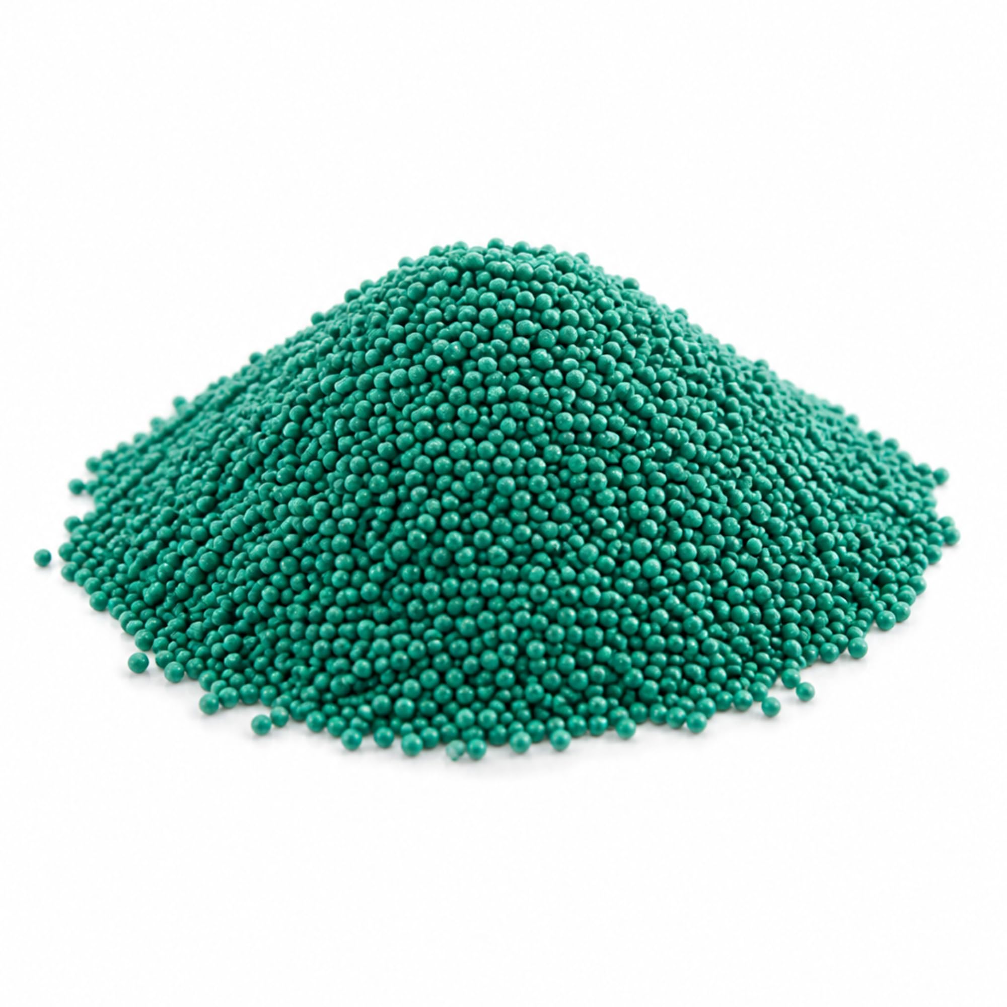 Micro Trefle Nain Blanc Pipolina Semence Pelouse 500g 200 m² Ultra Résistant sans Arrosage Levée Rapide 7 Jours