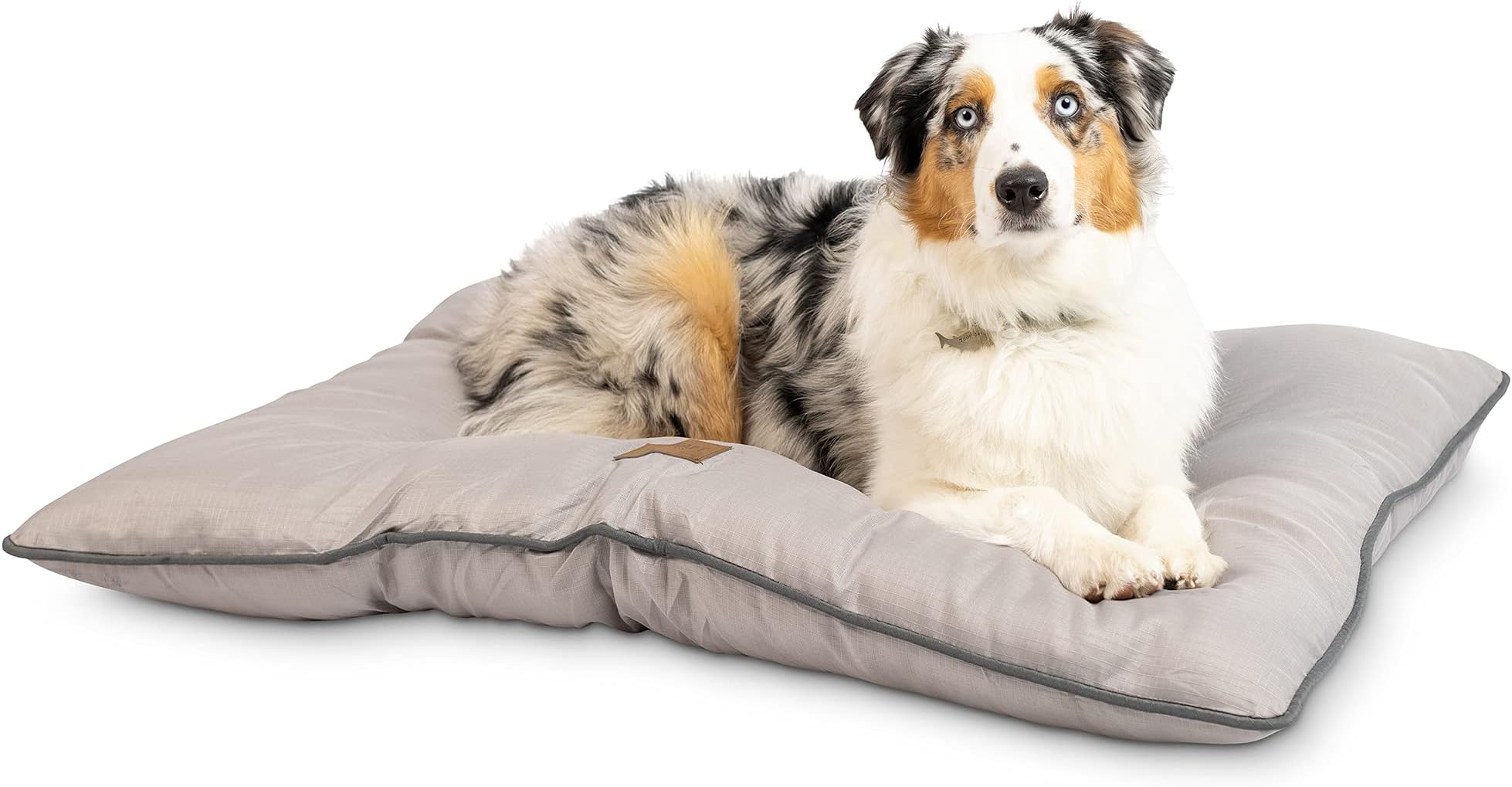 Pet Craft Supply Super Snoozer Calming Indoor / Outdoor All Season Water Resistant Durable Dog Bed, Cloud, Large (2220)