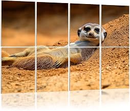 Art Acoustic Panels close up cute meerkat animal relaxing dessert 8 Pack Decorative Sound Absorbing Wall Panels 48x32" Noise Canceling Soundproof Padding Room Decor for Office