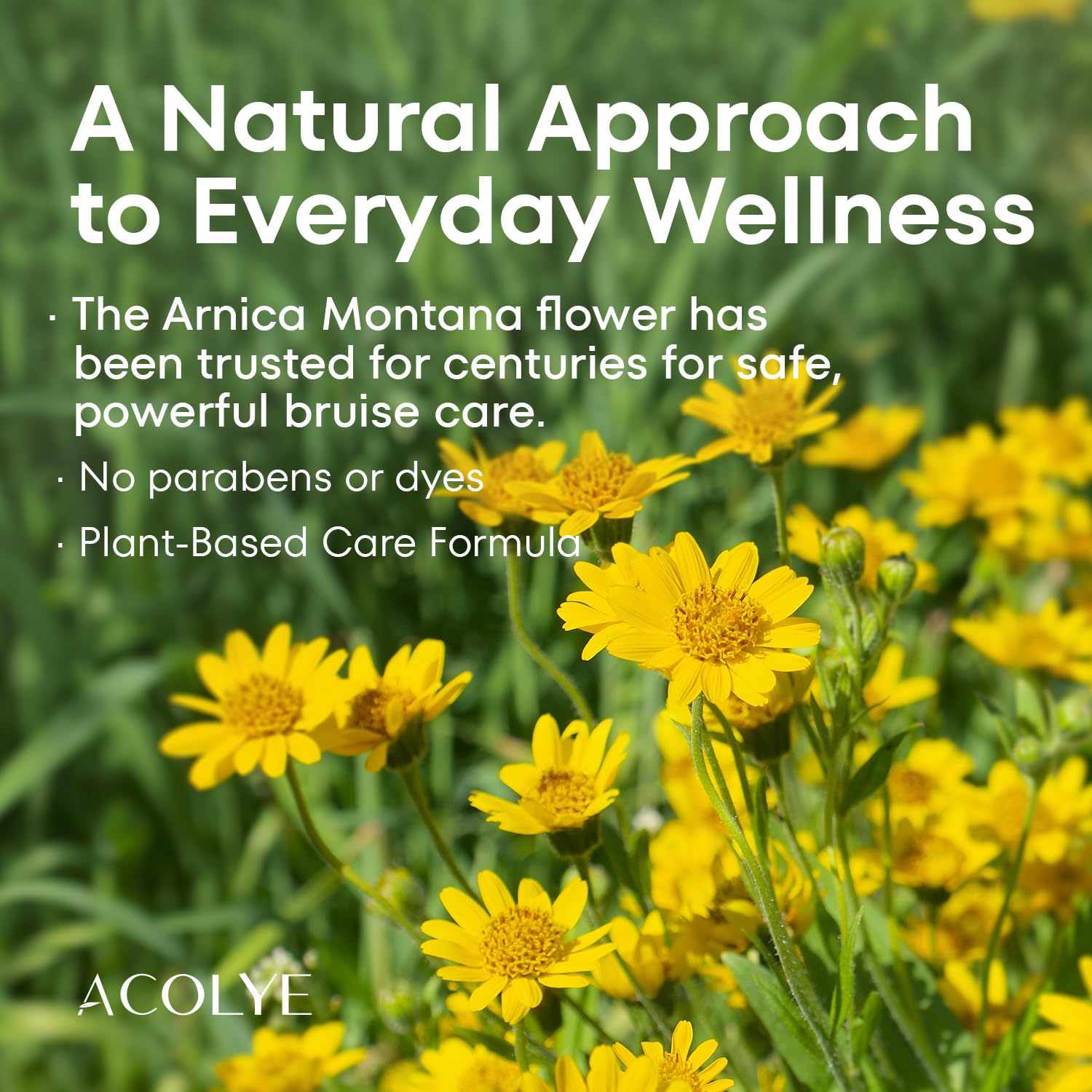 Arnica Cream for Bruising and Swelling: Extra Strength Arnica Bruise Cream with Vitamins K C E for Seniors Aged 55 and Above - Fast Healing Formula Ideal for Thin Skin 3.5 oz - Image 4