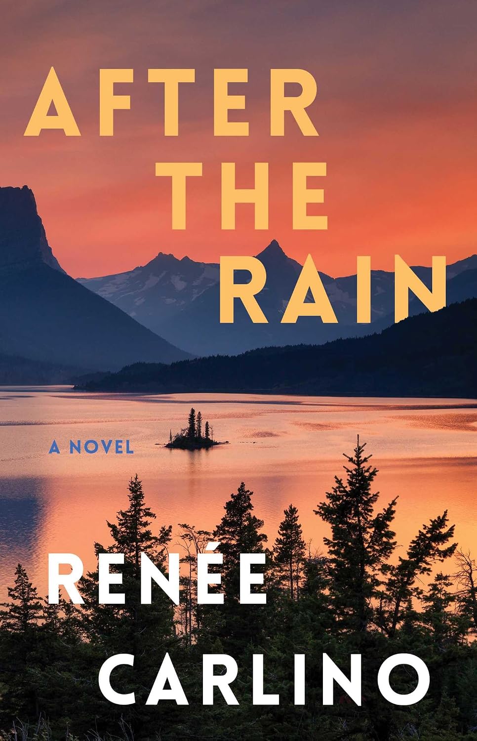 After the Rain: A Novel