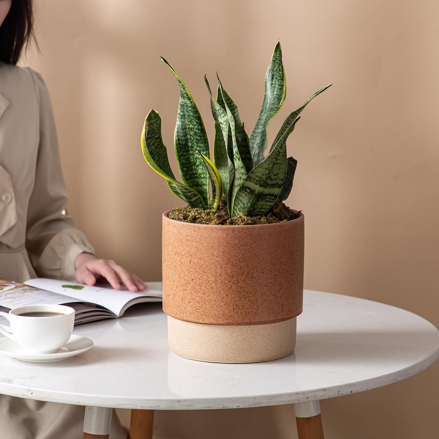 Self Watering Ceramic Planter: 8 Inch Plant Pot with Drainage Hole & Water Storage Plus for Outdoor & Indoor Plants, Succulents, Herbs - Flower Pot for Home or Office Decor - Terracotta