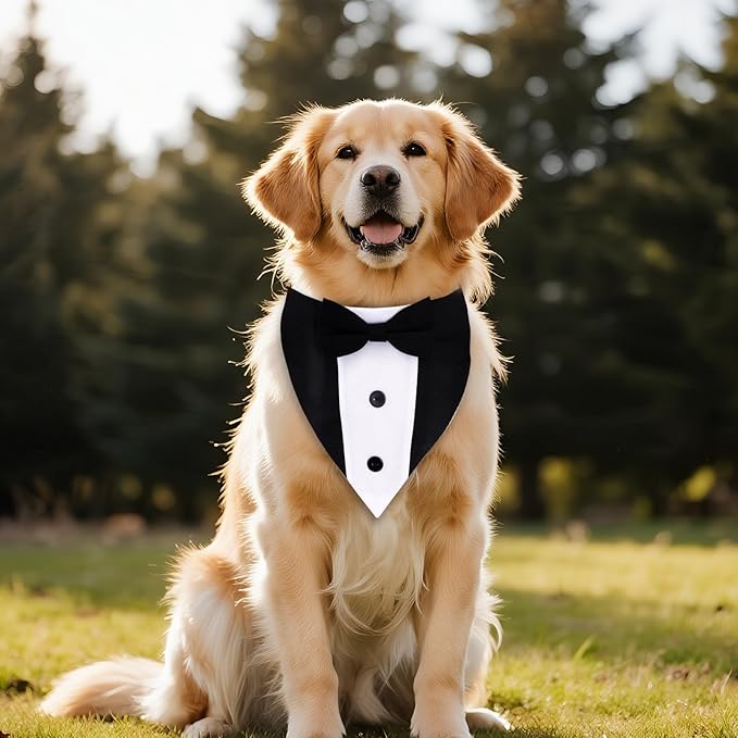 Corbata Ajustable para Perro con Moño Boda Fiesta miniatura 5