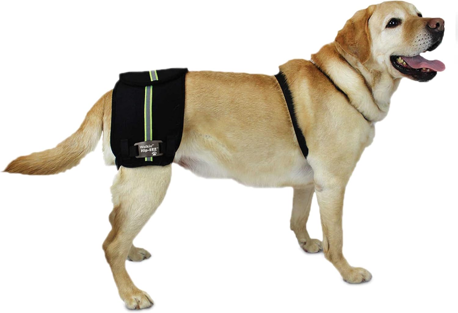 Walkin' HipEEZ Dog Hip Brace Support Harness System Provides Joint Support for Dogs with Hip