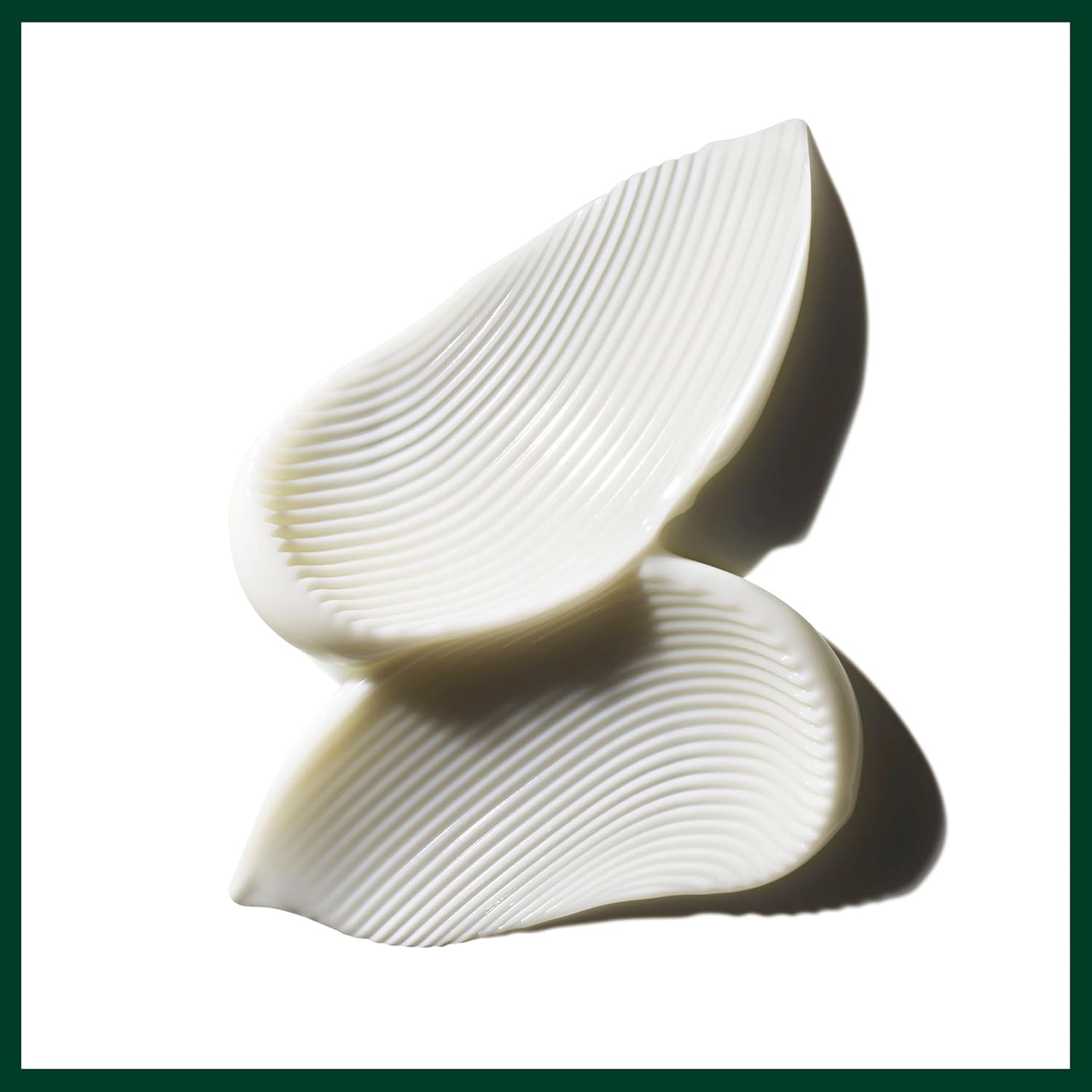 Aveda Color Control Conditioner | Protects Color-Treated Hair | Fights Color Fading | Silicone Free| 97% Naturally Derived* | for All Hair Types - Image 7