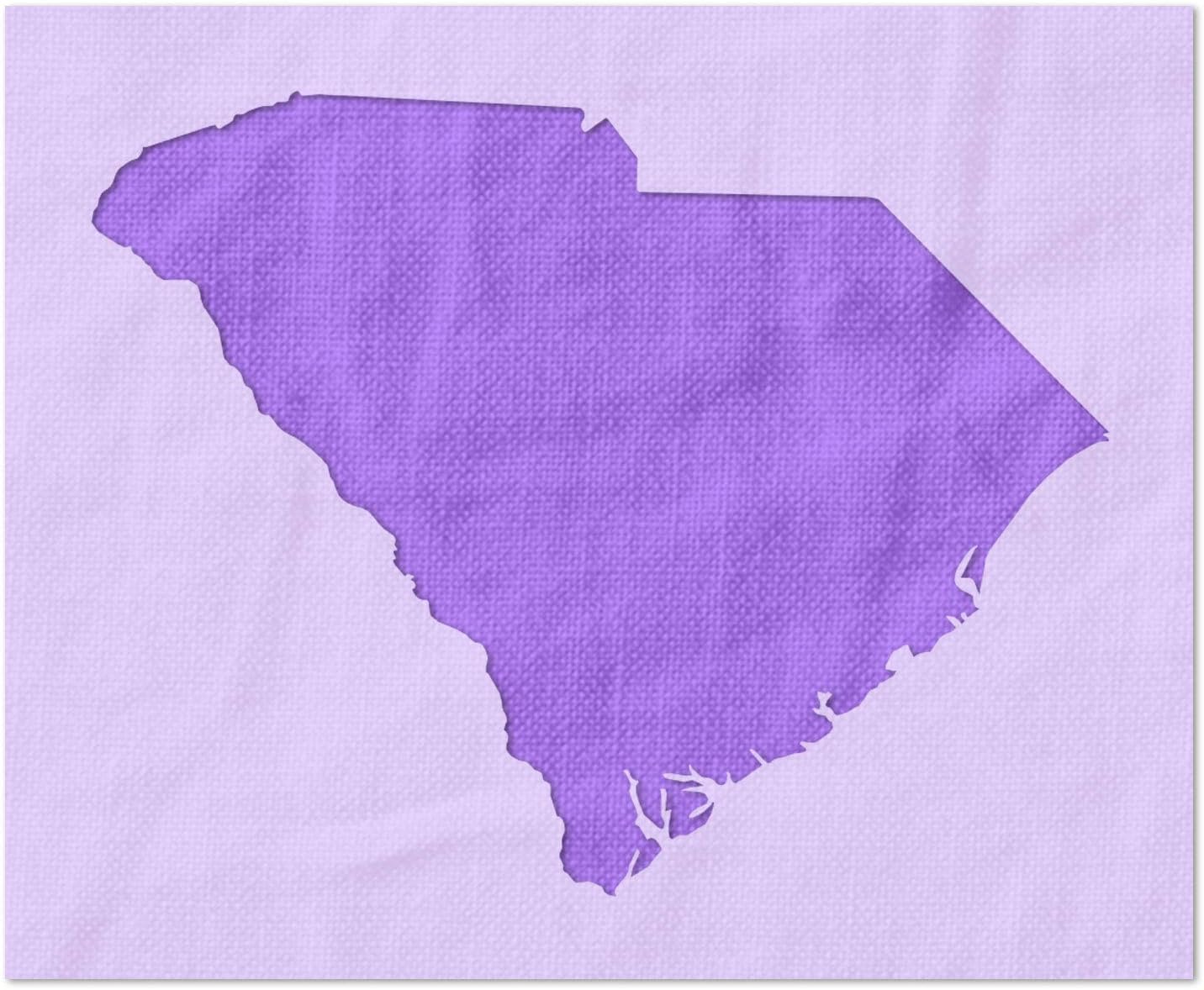 Stencil Stop South Carolina State Outline Stencil - Reusable for DIY Projects, Painting, Drawing, Crafts - 14 Mil Mylar Plastic (6 Pack (2", 3", and 4", 2 Each))
