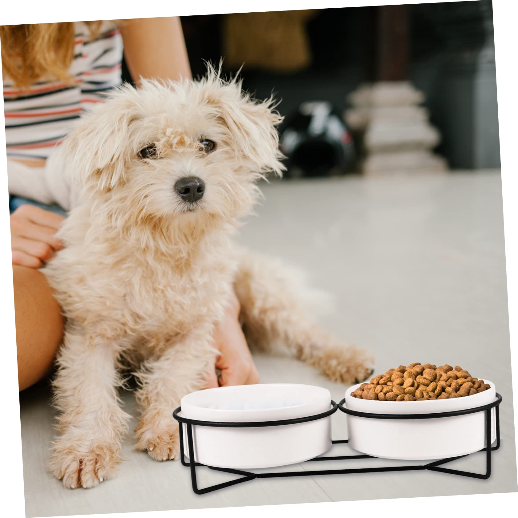 1set Ciotole Per Animali Domestici Rialzate Ceramica Con Struttura Da Ciotole Per Cani e Gatti Antiscivolo e Facili Da Pulire Per Cibo Secco e Fresco