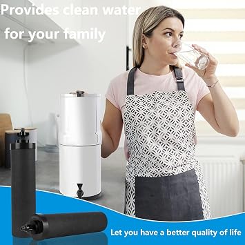 Water Filter Replacement for Black Carbon Block Filters System,Pack of 4 | Compatible with Travel,Big,Royal,Imperial Gravity Countertop Purification Elements, Removes Chlorine,Capacity 6,000 Gallons