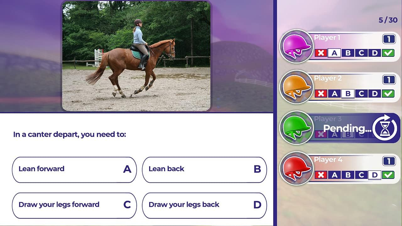 Equestrian Training (Nintendo Switch) - Image 5