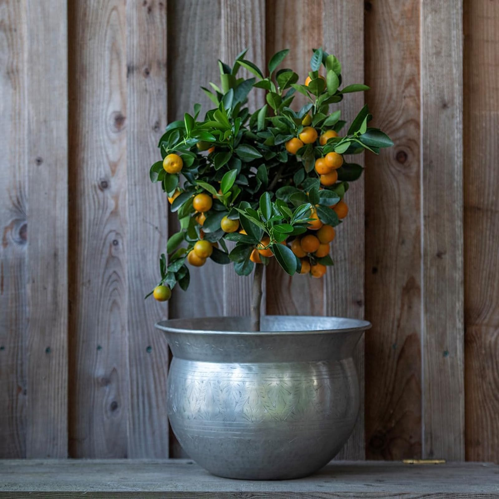 Crocus Silver Collection 36.5Cm Polished Plated Etched Bowl Planter Decorative Plant Pot For Indoor Use