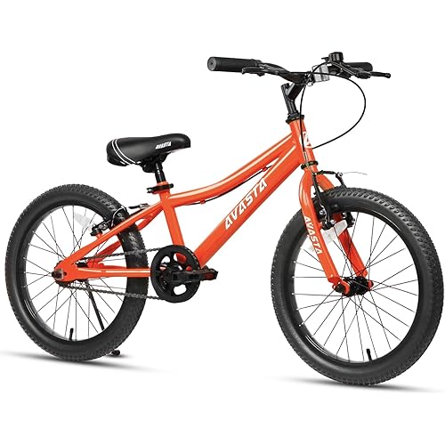 AVASTA Bilbo 18 20 Inch Kids Bike for Boys Girls 5-10 Years Old, Retro Style High Carbon Steel Bicycle with Adjustable Handlebars and Seat, Dual V-Brakes, Kickstand, Multiple Colors