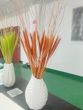 30 Pcs Dried Wolf Tails Grass, Natural Bunny Tail Grass Lagurus Ovatus, Wavy Curly Leaves, Fluffy Pampas Grass DIY Dried Floral for Boho Decor Wedding Party Home Farmhouse Retro Orange