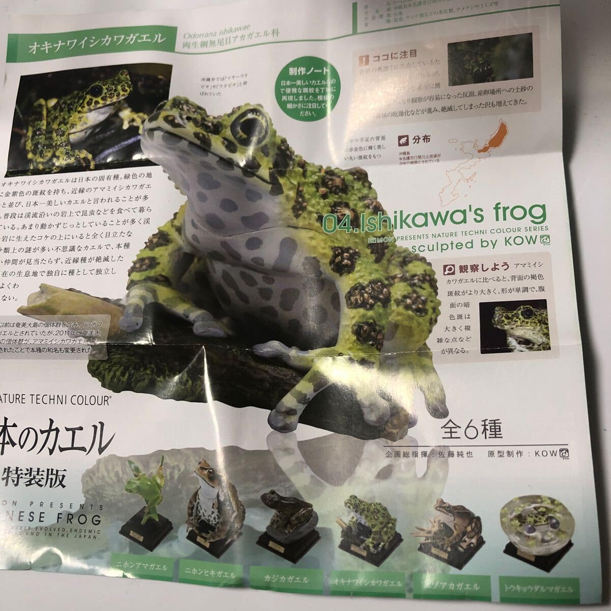 Amazon.co.jp: ネイチャーテクニカラー 日本のカエル特装版