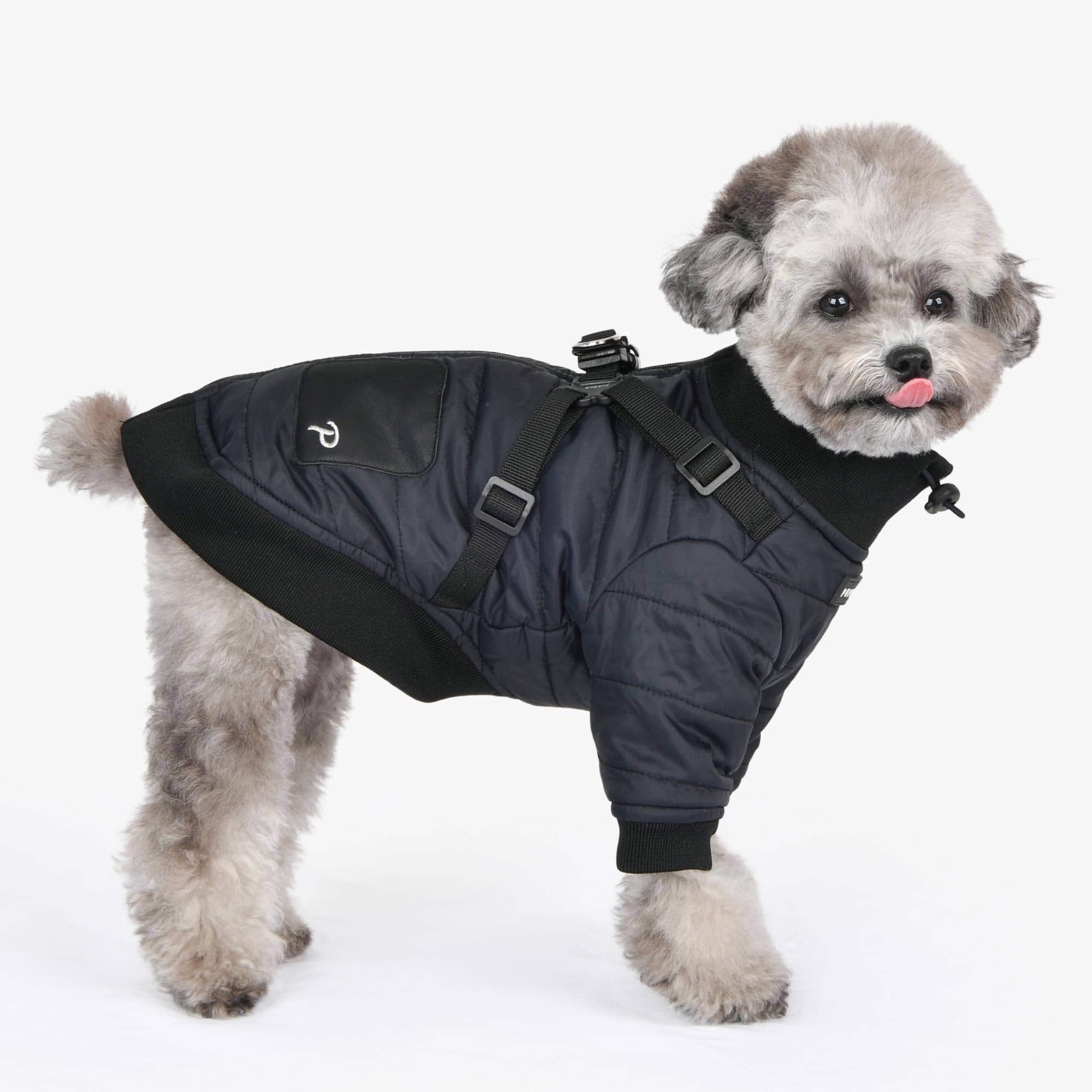 Puppia Stratus - Arnés Integrado para Perros pequeños y medianos, Color Negro, Talla L