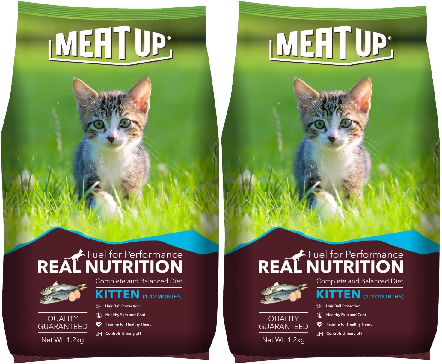 Meat Up Kitten Dry Cat Food, Ocean Fish, 2.4 Kg( 2 x 1.2 Kg) Total 2.4 Kg| DHA For Brain Development, Protein For Growth, Omega For Healthy Skin & Coat | For Weaning Kitten & Mother