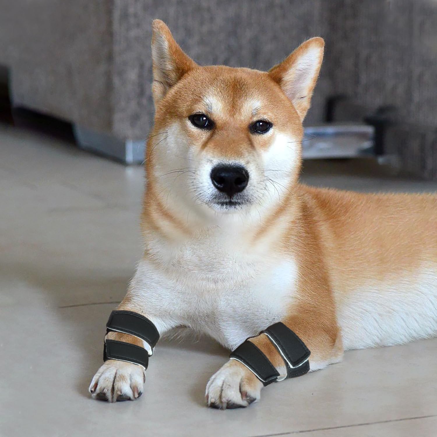 One Pair of Dog Stopper Pad Protectors for Dogs Carpal Pad Protection Front Leg Dew Claw