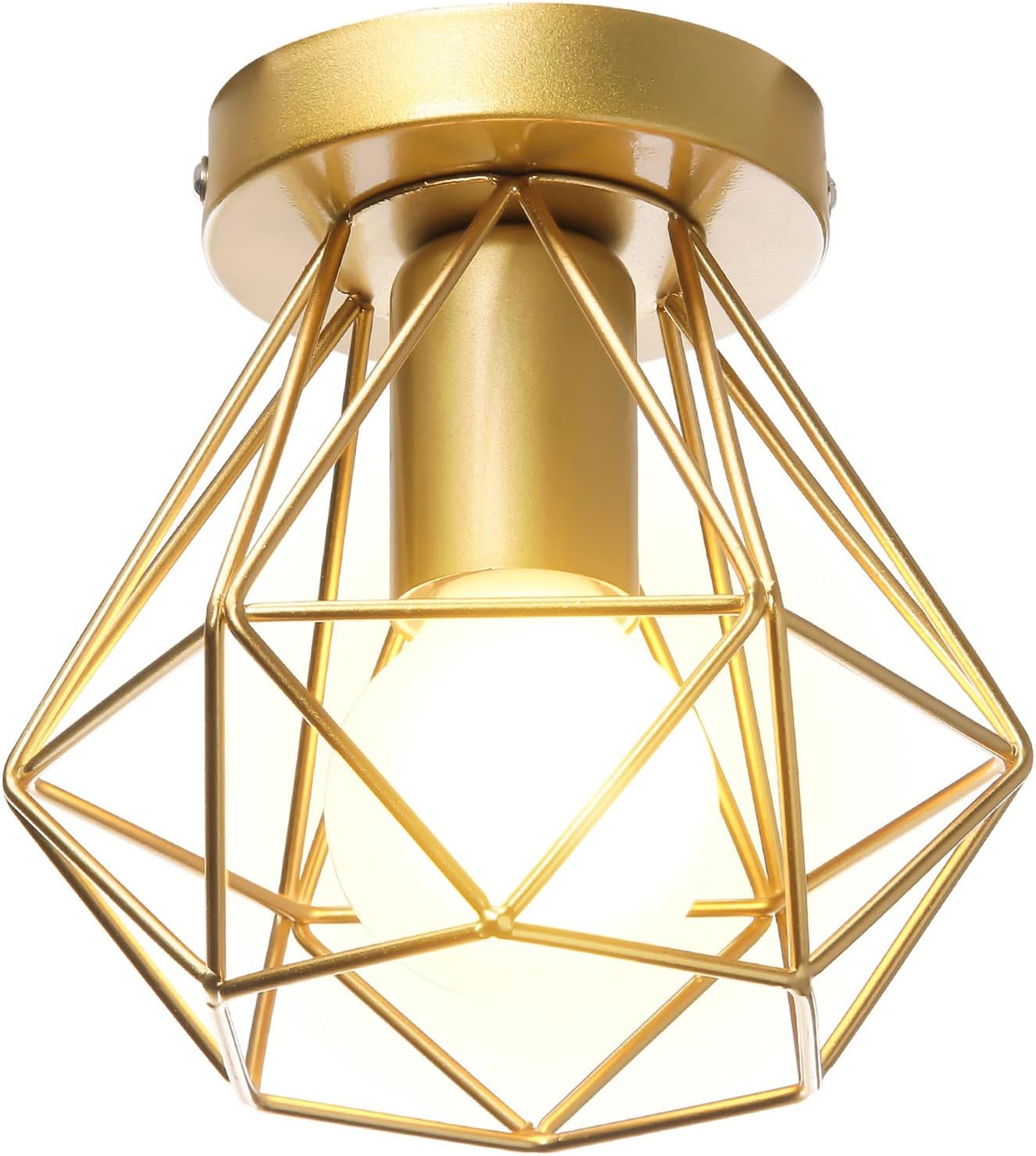Industrial Ceiling Lights Modern Flush Mount Ceiling Lighting Fixture, Wire Cage Metal Basket Pendant Lamp Shade E27 Close-to-Ceiling Lights for Hallway Bedroom Entryway