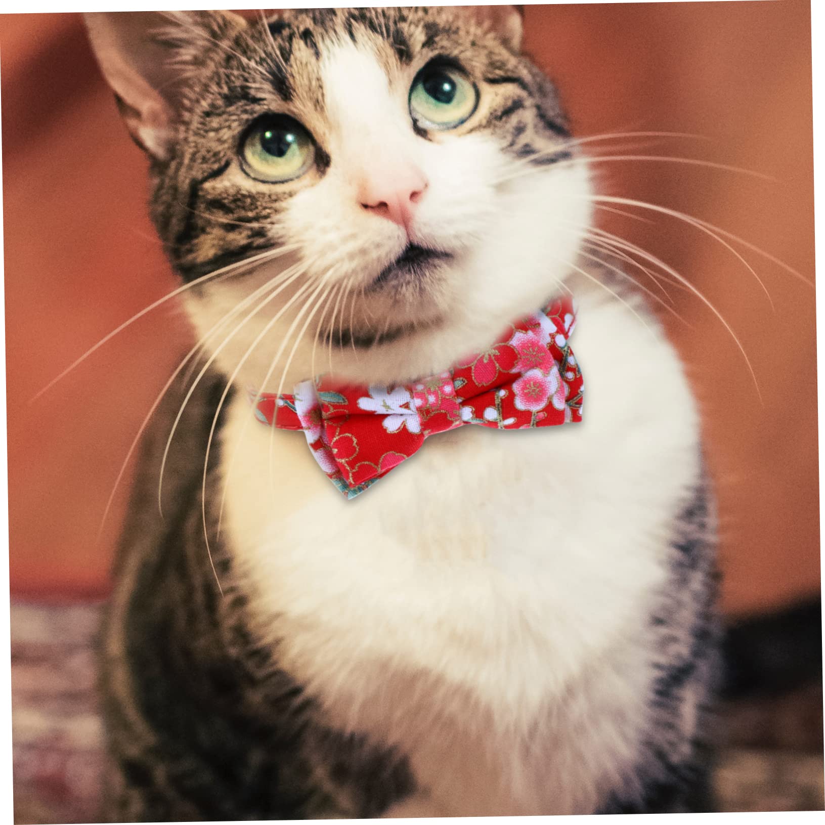 minkissy Lot De 3 Colliers pour Chat avec Clochette Taille Réglable Motif Floral pour Adorables Chats