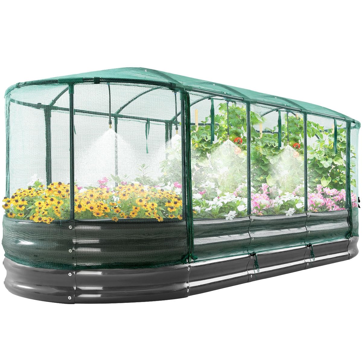 Quictent Galvanized Raised Garden Bed Kit with Self Watering System and Mesh Cover, Large Oval Metal Outdoor Planter Garden Boxes for Vegetables Herbs Flowers, 8x3x1Ft 8x3x1 FT Self Watering System and Mesh Cover