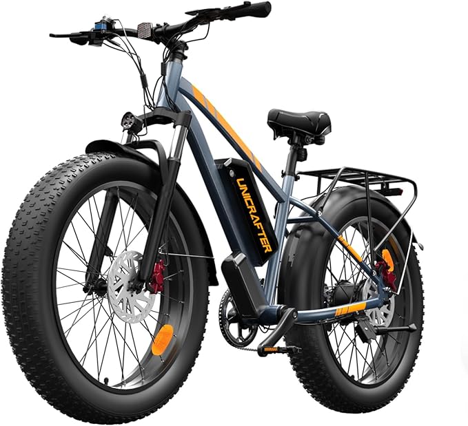 1000W Electric Bike for Adults