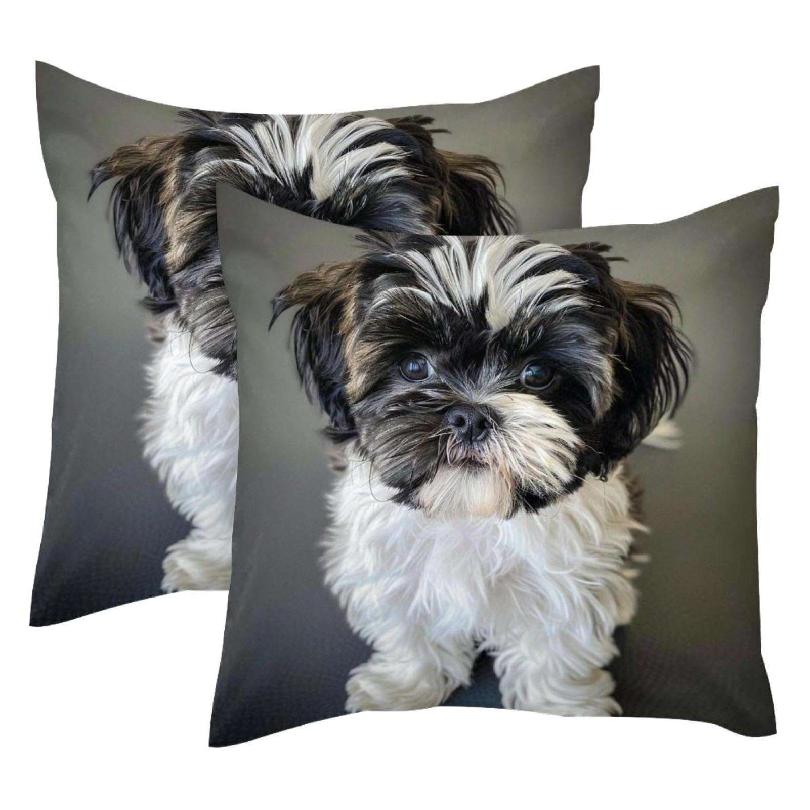 Housse coussin Shih Tzu 50x50 velours doux pour remplacer vos taies usées