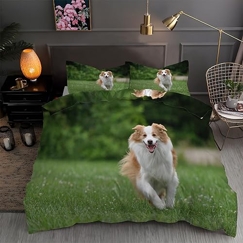 Sheepdog - Juego de funda de edredón tamaño matrimonial, funda de edredón de microfibra suave y 2 fundas de almohada de 20 x 26 pulgadas, juego de
