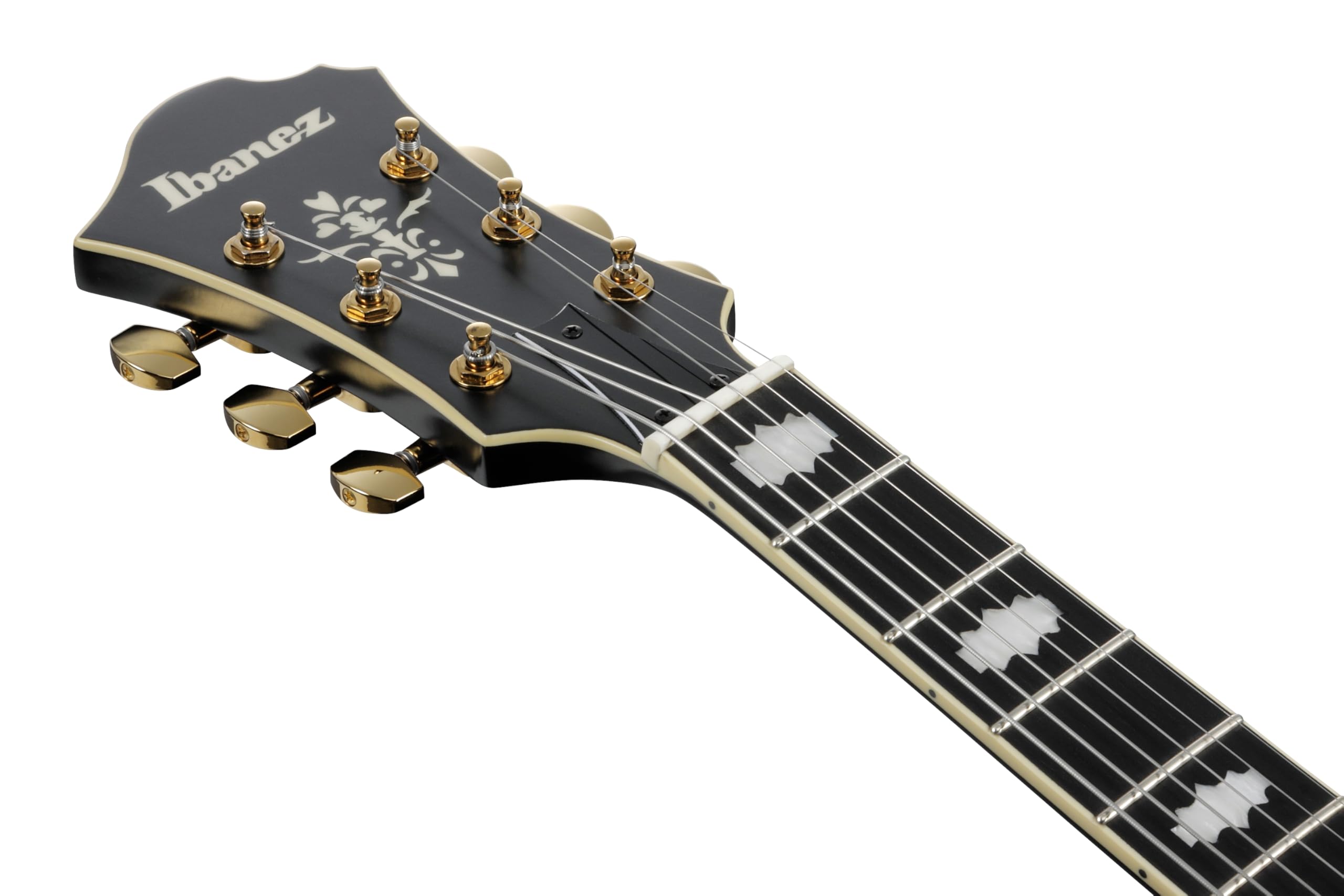 Amazon | Ibanez / Pat Metheny New Signature Model PM3C-BKL (Black